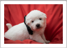 Capture One Session0149